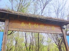 -西青郊野公园