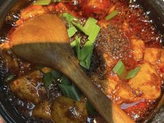 -陈麻婆豆腐(旗舰店)