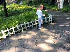 -重庆彩云湖湿地公园