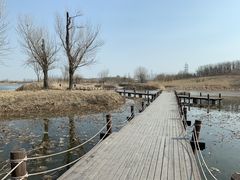 -马家湾湿地公园
