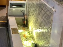 -同仁四季椰子鸡(福田东园总店)