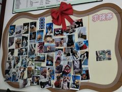 -顺强宠物诊所·狂犬免疫·夜诊·骨科(嘉定店)