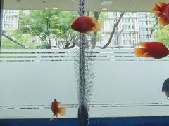 -东四民芳餐厅(朝阳门店)