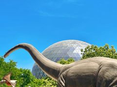 -陕西自然博物馆