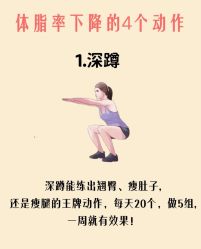 -Fundi张玉珊修身堂·indiba·BTL科技瘦身