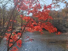 -本溪老边沟风景区