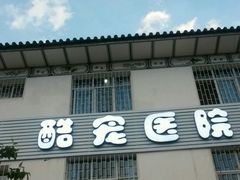 -大理酷宠宠物医院