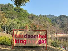 -云溪植物园