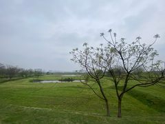 -盘龙城国家考古遗址公园