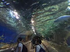 -大连圣亚海洋世界