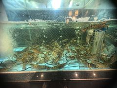 -顺意·顺德家乡菜(国际人才大厦店)