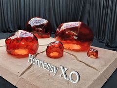 -精绝七日-新疆尼雅遗址数字大展【拉法耶文化艺术中心】