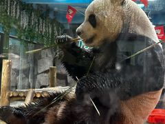 -栾川竹海野生动物园