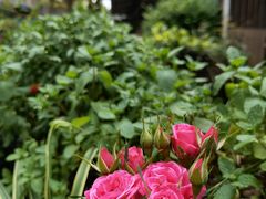 -艾加柒克蛋糕茶歇甜品台(春熙路店)