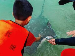 -海南分界洲岛旅游区