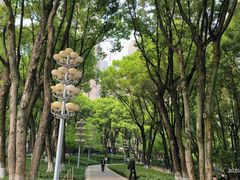 -重庆市江北嘴中央商务区中央公园