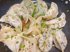 -小金鬼·煎饺·鸽子汤