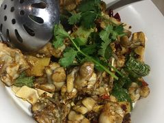 -石头咕(黄岐店)