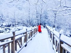 -青峰峡国家森林公园