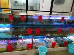 -洲晓鲜·舟山海鲜大排档(朱家尖风景区店)