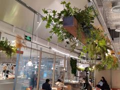 -老乡鸡(上海白玉兰广场店)