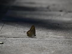 -敬亭山风景名胜区