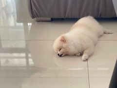 -宠颐生动物医院·小陆分院