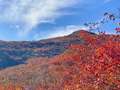 -周口店坡峰岭风景区
