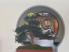 -腾冲和顺柏联酒店