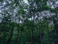 -秦岭终南山世界地质公园翠华山景区