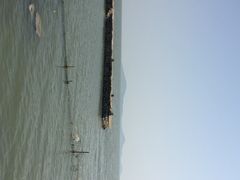 iphone_upload_pic-太湖好灶头土菜馆(石公路店)
