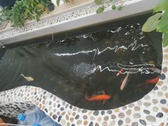 -新蜗牛二手车行