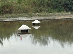 -盐洲岛