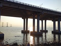 -宝安西湾红树林湿地公园