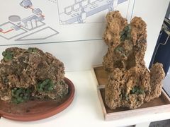-长富金茂大厦