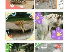 -北京野生动物园