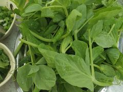 -牛知府云南菌汤鲜牛肉火锅(肖家湾店)