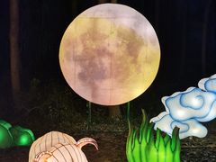 -昆山城市生态森林公园