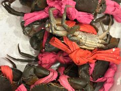 -秦记香辣蟹(松榆里店)