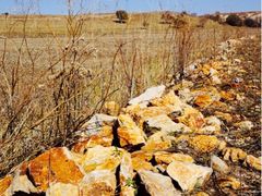 iphone_upload_pic-塞罕坝国家级自然保护区