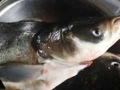 -小六农家乐(崇明西沙湿地店)