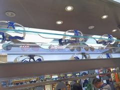 -宝岛眼镜·星创视光中心·林德伯格·奢品集合(北京世纪金源店)