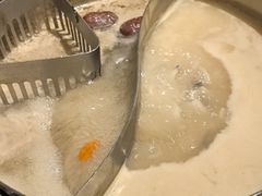 -打酱友•斑鱼海鲜粥火锅(吴桥店)