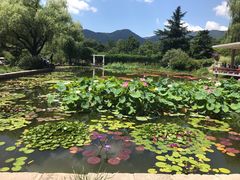 -国家植物园南园