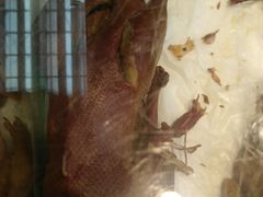 -京八珍(和平东桥店)