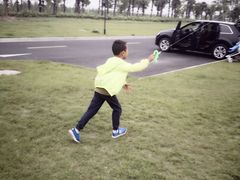 -春花秋色城市公园