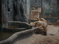 -清迈夜间动物园
