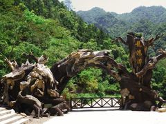 -龙湾潭国家森林公园