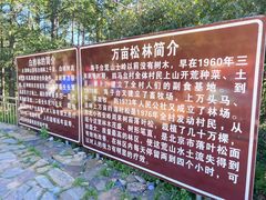 -白草畔自然风景区