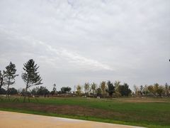 -汉长安城未央宫国家考古遗址公园